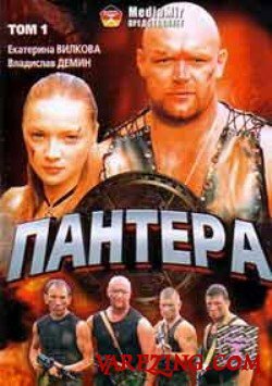 Пантера (2007) постер