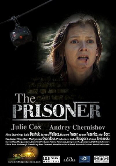 Заключенный (2012) постер