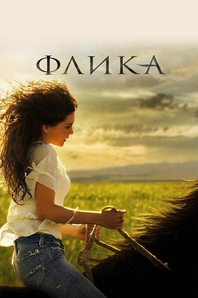 Флика (2006) постер