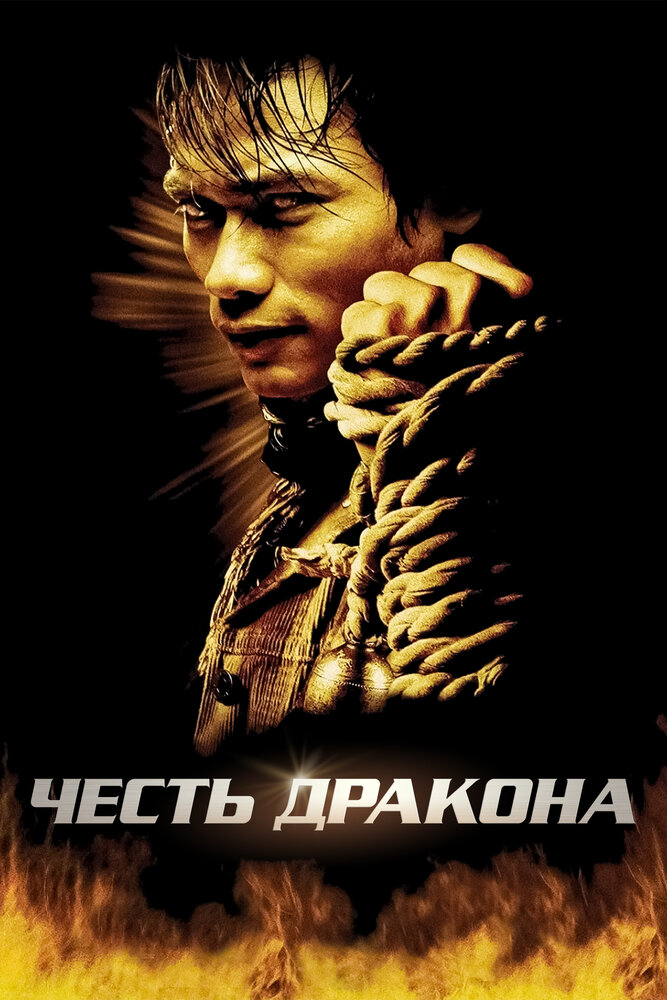 Честь  дракона (2005) постер